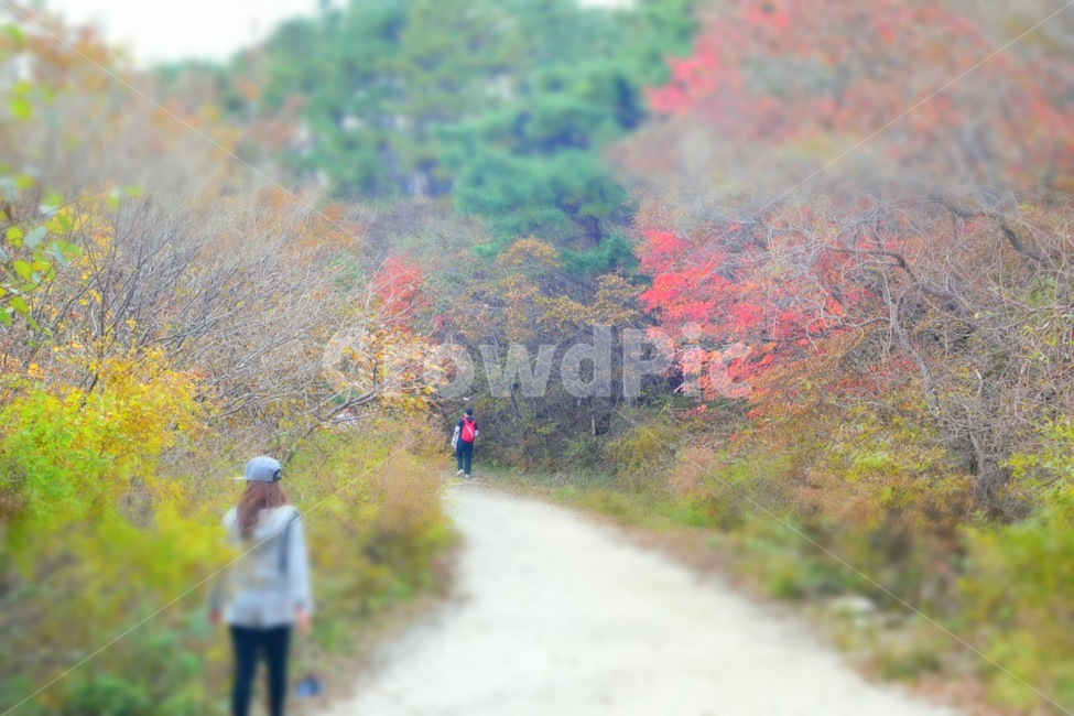 지리산,노고단,단풍,가을,산책,자연,풍경,nature,landscape