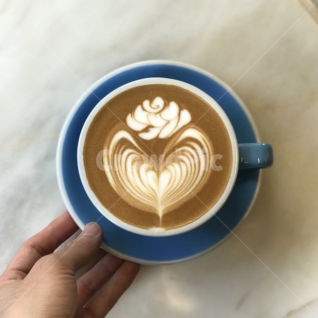 커피,라떼아트,장미,장미꽃,커피아트,카페라떼,coffee,latteart,rose,coffeeart,cafelatte,음료수,drink,beverage,커피,카페,coffee,cafe
