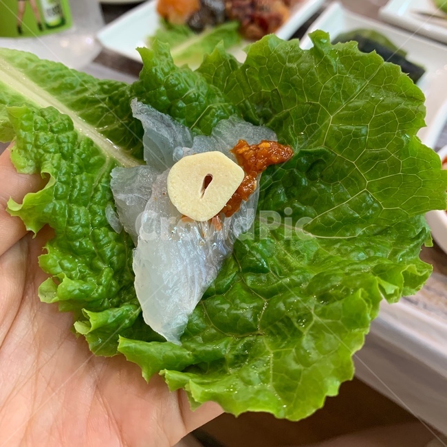 food,음식,vegetable,야채,lettuce,상추,회,마늘,쌈장,음식,식재료,요리,food,cook,meal,dishes,food reserves