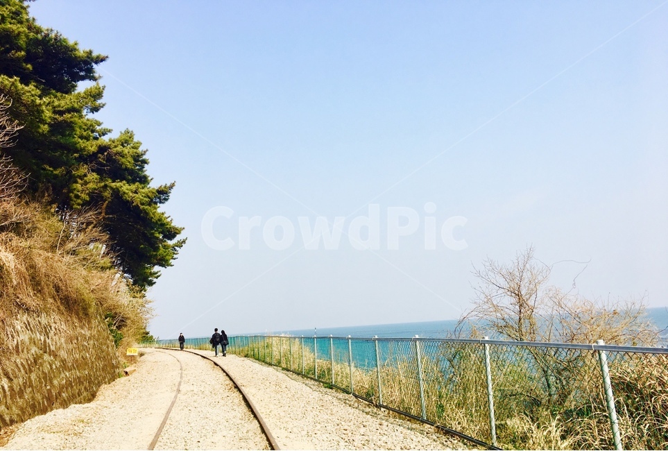철길,길,바닷길,산책로,기찻길,자연,풍경,nature,landscape,rail,레일,transportation,교통,train track,railway,철도
