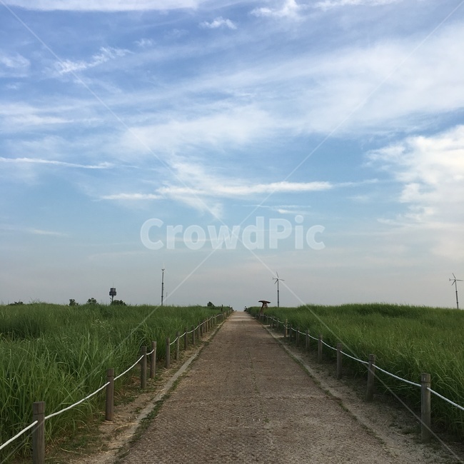 도로,road,하늘,공원,하늘공원