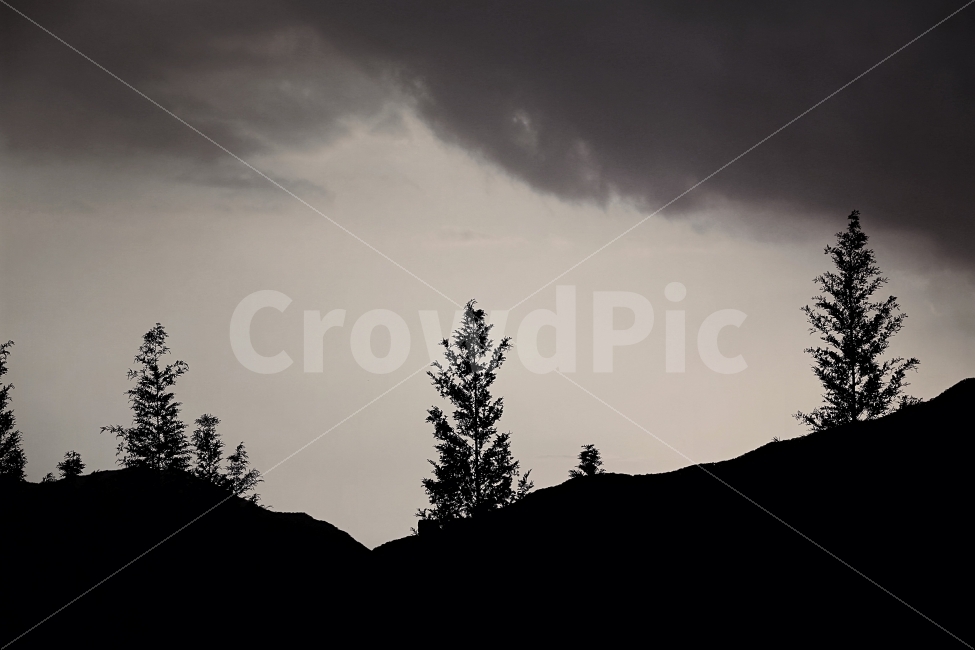 노을,흑백,자연,나무,여행,sunset,bnw,black,분위기,감정,cloud,sky,하늘,구름,저녁,자연,풍경,nature,landscape,실루엣,그림자,silhouette,shadow,tree,fir,전나무,plant,식물,weather,날씨