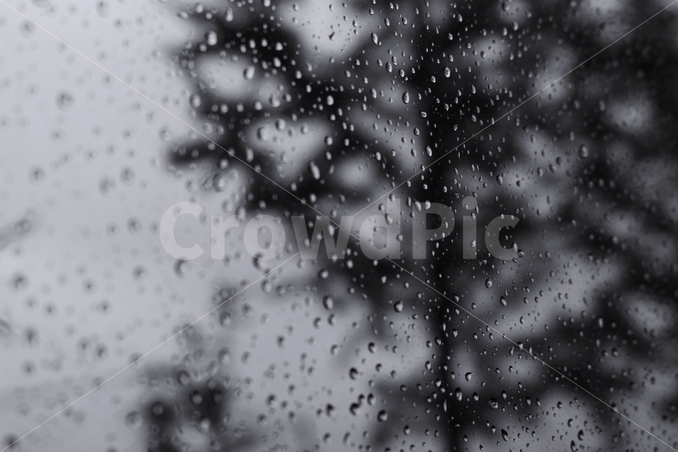 비,빗방울,창문,버스,유리창,흑백,감성,쓸쓸함,허무함,rain,drop,window,bus,black,white,비,비오는날,rain,rainy