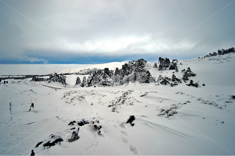 겨울산,한라산,설경,제주도,눈,설목,설화,한라산설경,겨울,계절,winter,season