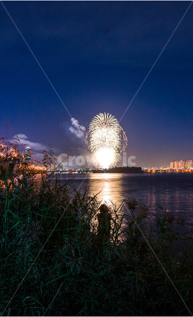 불꽃놀이,불꽃축제,축제,한강,실루엣,뒷모습,야경,밤,풍경,nightscape,night,landscape