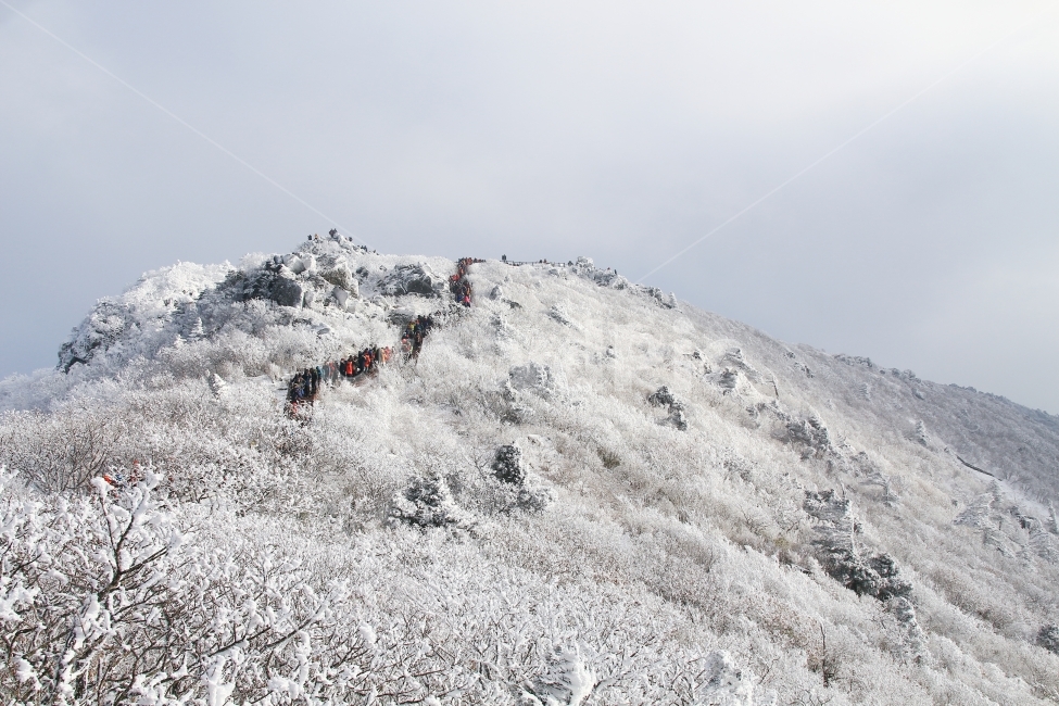설경,산,겨울산,겨울,눈꽃,눈,등산,능선,추위,도전,하늘,구름,정상,흐림,덕유산,겨울,계절,winter,season,자연,풍경,nature,landscape,한국자연풍경,한국자연경관,korea nature landscape,outdoors,옥외,slope,경사,grassland,목초지,field,들