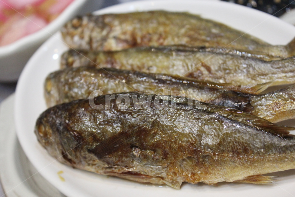 영광굴비,굴비,먹거리,반찬,식사,음식,식재료,요리,food,cook,meal,dishes,food reserves,수산물,해산물,fishery products,seafood,한식,한국음식,한국요리,korean food,korean dishes,korean meal,korean cook