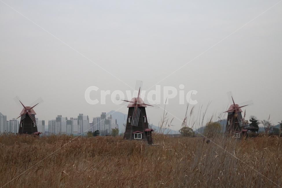 풍차,소래공원,소래,인천,습지