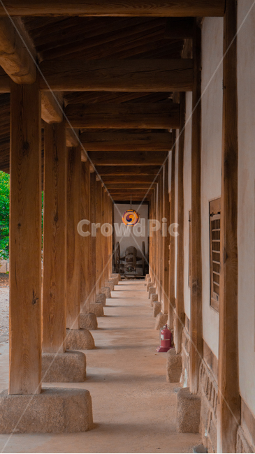 성균관,명륜당,문화재,한옥,가을,한국전통,한국문화,korean traditional,korean culture,건축물,건물외관,exterior,building,structure,architecture,construction