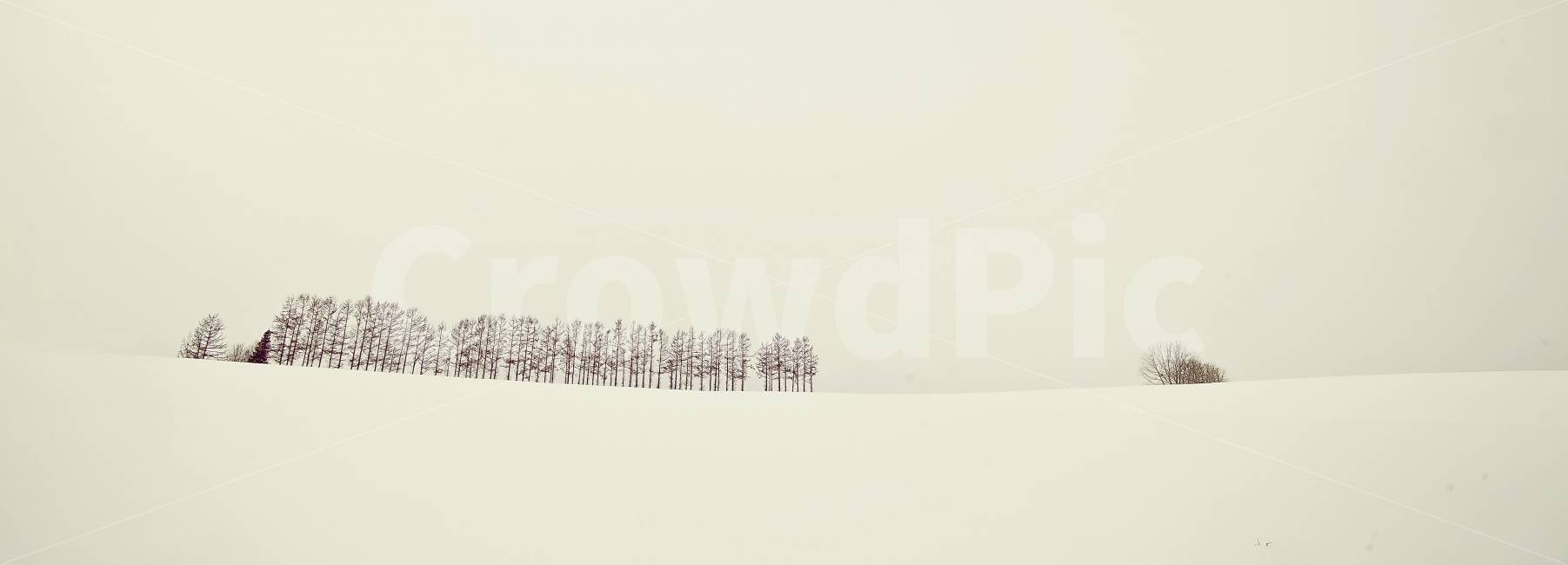 자연,풍경,파노라마,설원,눈,설경,겨울,삿포로,비에이,겨울,계절,winter,season,자연,풍경,nature,landscape,outdoors,옥외,storm,폭풍,snow,blizzard,눈보라
