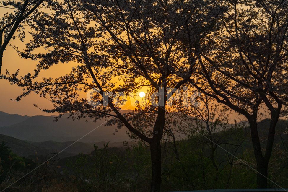 노을,풍경,저녁,태양,감성,따뜻함,나무,호수,배경,자연,풍경,nature,landscape,outdoors,옥외