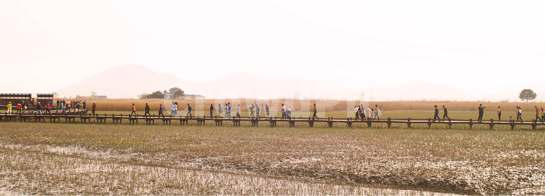 순천만,감성사진,다리,갯벌,자연,봄,자연,풍경,nature,landscape,한국자연풍경,한국자연경관,korea nature landscape,사람들,대중,군중,other people,crowd,person,사람,human,인간