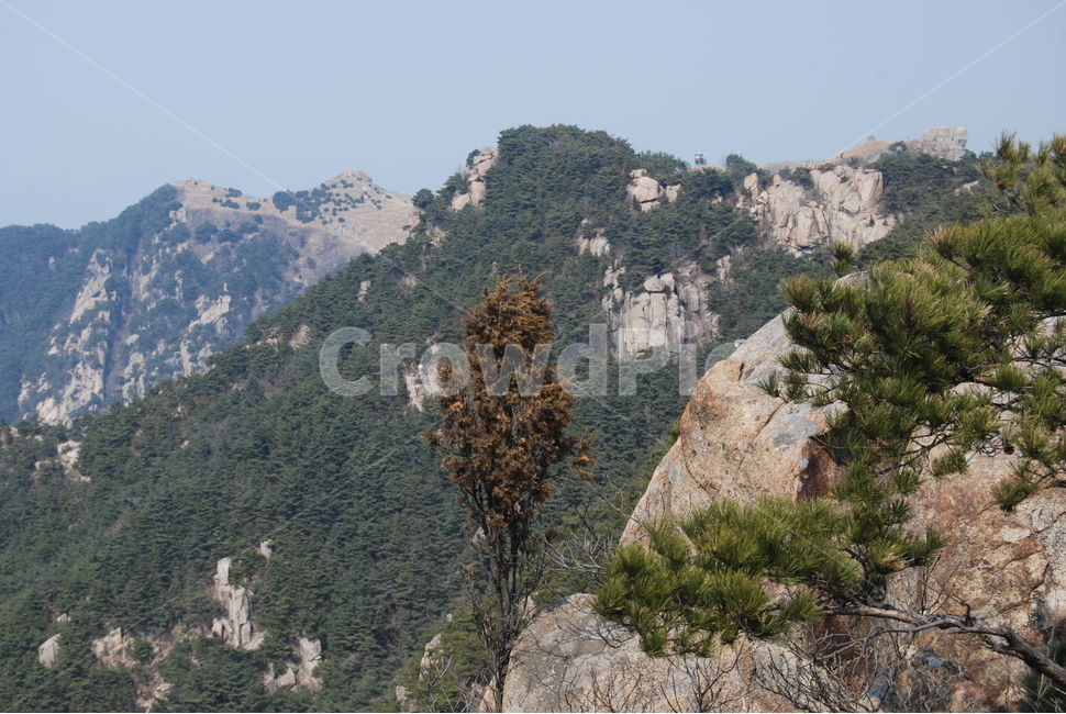 산,mountain,돌,stone,자연,nature,자연,풍경,nature,landscape,outdoors,옥외,tree,나무,plant,식물