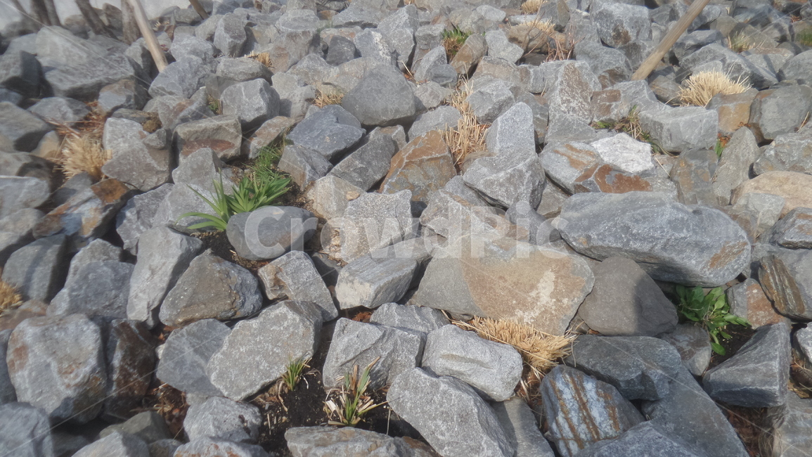 자갈,돌,석재,자연석,gravel