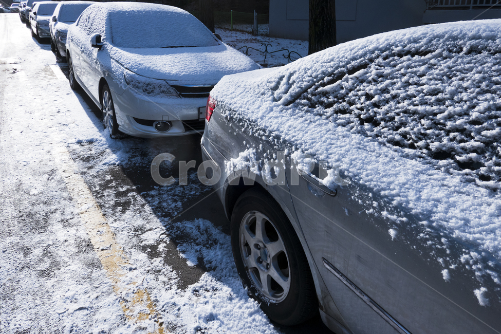 주차장,야외,자동차,차,승용차,눈,겨울,폭설,화이트,사이드미러,정렬,겨울,계절,winter,season,교통,교통수단,traffic,transportation,car,vehicle,차량,automobile