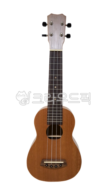 play,ukulele,Nukki,objects,equipment,instrument,audio equipment,guitar,etc,hobby