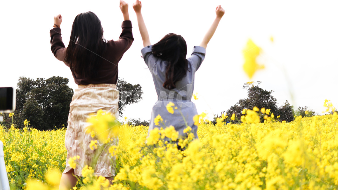 제주,유채꽃,유채,돌담,유채밭,봄,계절,spring,season,식물,자연,plants,nature,꽃,flower,사람,인물,인간,human,person,여성,여자,woman,female,lady,감정표현,기분,feeling,emotion