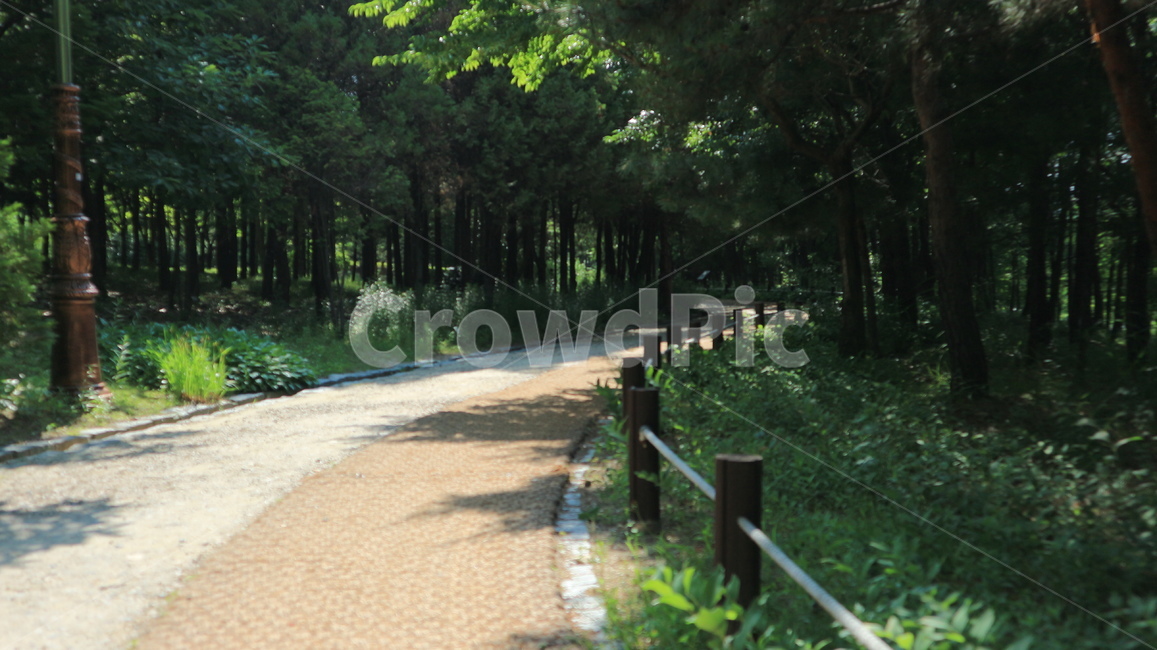길,공원,산책,자연,휴식,수목원,오솔길,path,park,walk,nature,rest,forest,woods,summer,여름