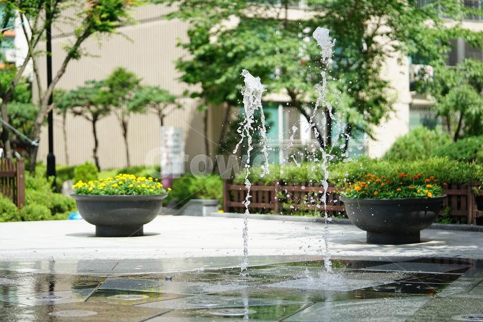 분수,물,물줄기,여름,계절,water,순간,순간포착,더위,summer,여름,계절,summer,season