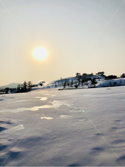 겨울,눈,들판,태양,평창,강원도,노을,겨울,계절,winter,season,자연,풍경,nature,landscape,outdoors,옥외