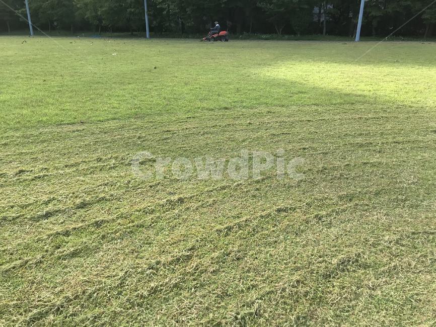 grass,잔디,lawn,잔디밭,잔디깎기,들판,yard,정원사,가드너,gardener,garden
