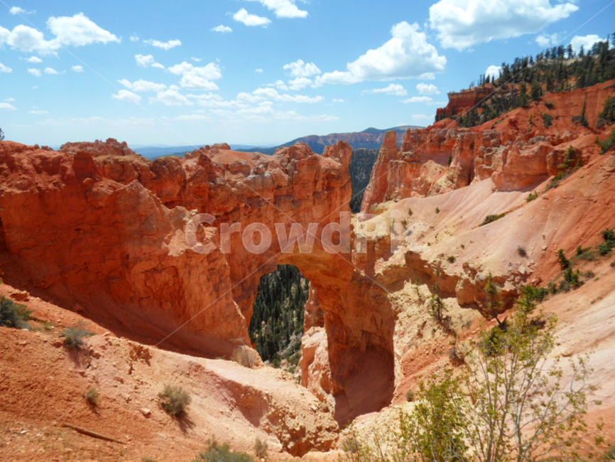 corrosion,usa,scenic,Orange,Utah,america,red,nice view,sight,landmark,Natural Bridge,naturalbridge,viewpoint,Cliff,brycecanyon,utah,Bryce Canyon,canyon,hoodoo,gorge,erosion,valley,bridge,A national park,cliff,formation,sandstone,rock,bryce,national,park,U