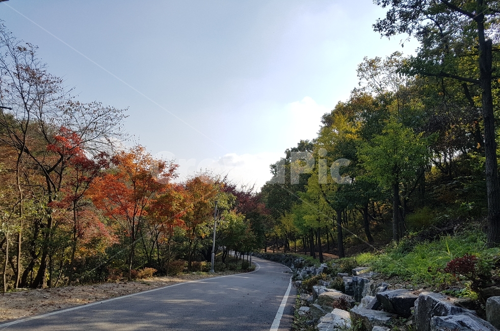 단풍,저녁노을,드라이브,아스팔트,도로,road,하늘,가을,계절,fall,autumn,season,자연,풍경,nature,landscape