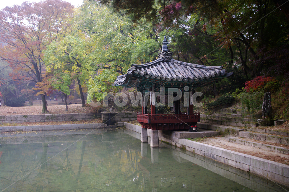 애련지,애련정,창덕궁후원,고궁,건축,전통건축,traditional,전통,기와지붕,가을,fall,나무,식물,plant,단풍,한국전통,한국문화,korean traditional,korean culture,랜드마크,landmark,tourist attraction,한국랜드마크,한국관광지,한국명소,korea landmark,korea tourist attraction