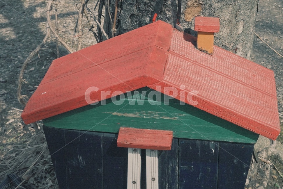 roof,지붕,집,작은집,건축