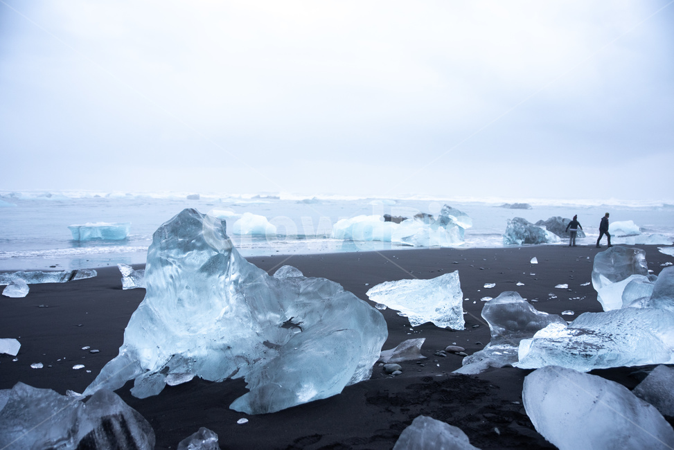 아이슬란드,빙하,바다,얼음,겨울,고독,풍경,iceland,galcier,sea,ice,winter,lonely,landscape,물개,seal,겨울,계절,winter,season,자연,풍경,nature,landscape,outdoors,옥외