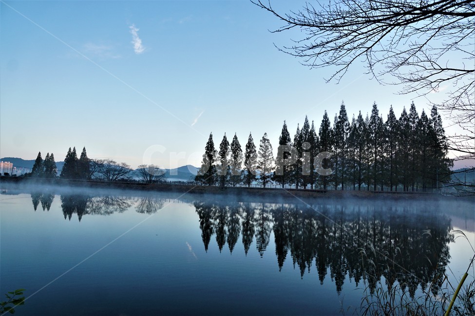 가을,아침,안개,자연,하늘,tree,sky,nature,나무,plant,풍경,autumn,morning,water,물,저수지,reservoir,자연,풍경,nature,landscape