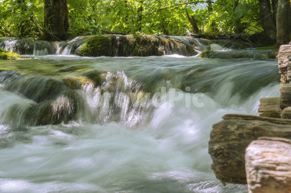 크로아티아,플리트비체,폭포,나무,자연,물,국립공원,슾,자연,풍경,nature,landscape,water,river,강,outdoors,옥외