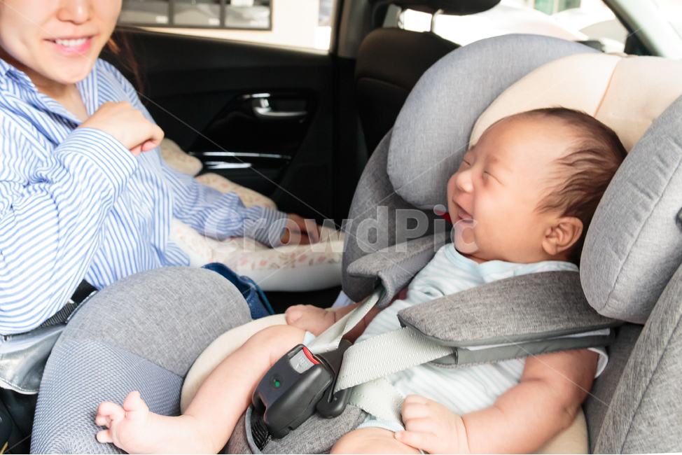small,parent,facial expression,car seat,back magnet,cute,mother,car,safety,angelic,newborn baby,parenting,passenger car,going out,newborn car seat,infants and toddlers,Baby,newborn,transportation,infant car seat,face,seat belt,baby,laughter