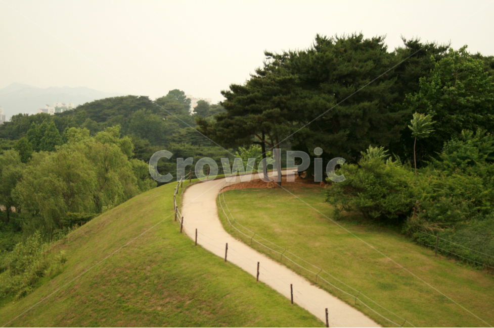 언덕,공원,길,잔디,초록,산책,여유,감성,자연,풍경,nature,landscape,grass,plant,식물,outdoors,옥외,field,들