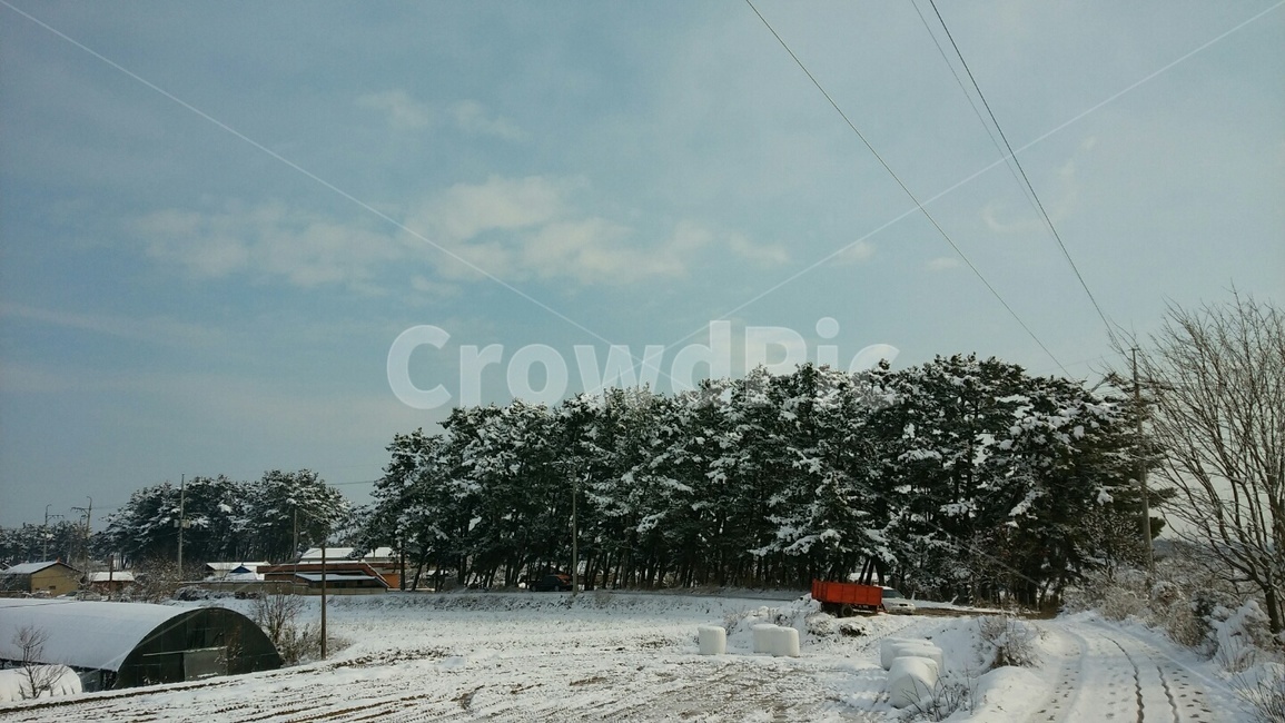 시골,자연,휴식,평온,눈,겨울,겨울,계절,winter,season
