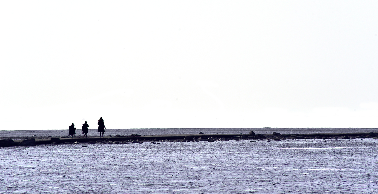 바닷가,sea,사람들,해변가,human,한국자연풍경,한국자연경관,겨울바다,배경,바탕,백그라운드,다정한,outdoor,자연,water,인간,person,nature,썰물,갯벌,길,함께,실루엣,해안,힐링,휴식,옥외,아웃도어,야외,가족,누끼,빈공간,road,walking,healing,together,평화로운,자연,풍경,nature,landscape