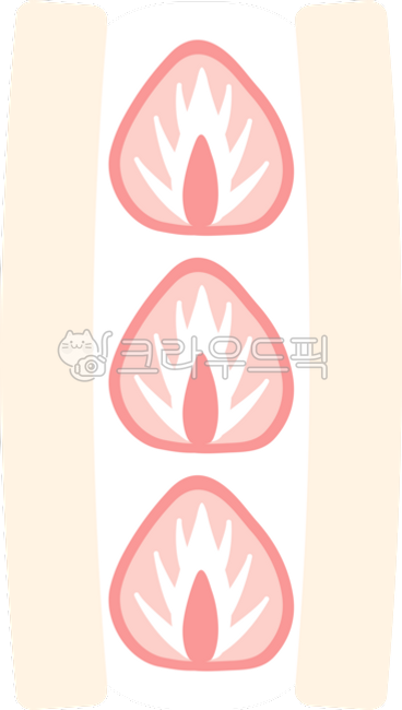후르츠산도,산도,과일산도,과일샌드,샌드위치,딸기,딸기샌드위치,딸기산도,과일,디저트,간식,음식,빵,식빵,요리,베이커리,생크림,달콤한,상큼한,신선한,일러스트레이션,클립아트,스티커,맛있는