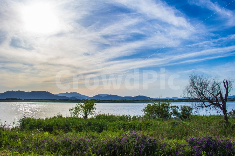 sky,landscape photography,nature,Nakdong River,summer,Emotional photo,sky photo,cloud,natural scenery,busan,sunset,sight,Emotion,river,nightfall