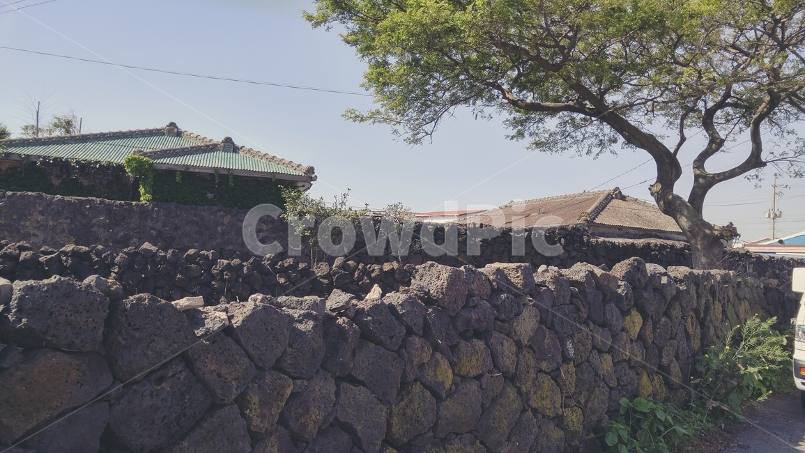 제주도,제주,풍경,여름,하늘,풀,돌,담벼락,제주도,jeju,jeju island,시골,마을,풍경,landscape,country,rural,town,rubble,파편