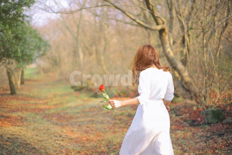 소녀,여자,원피스,자연,인물,스냅,스냅사진,감성,감성사진,들판,숲,제주,제주도,제주여행,여행,여행사진,분위기,혼자,나홀로,alone,girl,lady,nature,rose,장미,꽃,연기,사람,women,travel,korea,jeju,flower,파스텔제주,pasteljeju,뒷모습,걷기,걷는모습,사람,인물,인간,human,person,여성,여자,woman,female,lady,패션스타일,의상,fashion,style,감성,sensible,feeling