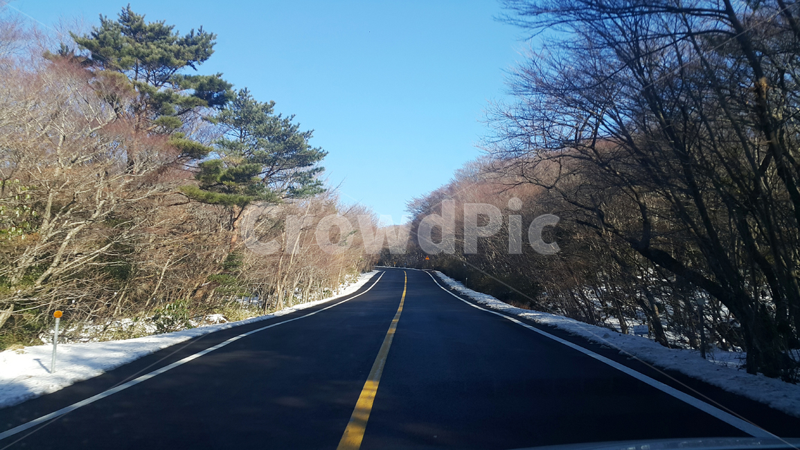 길,도로,road,highway,freeway,asphalt,아스팔트,나무,겨울,겨울길,눈,하늘,푸른하늘,경치