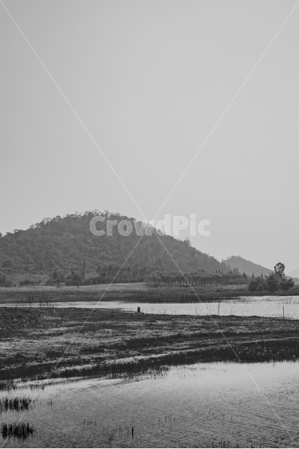 태국,바다,태국바다,어부,농촌,자연,풍경,nature,landscape,흑백,모노톤,monochrome,black and white,land,땅,outdoors,옥외,water,물