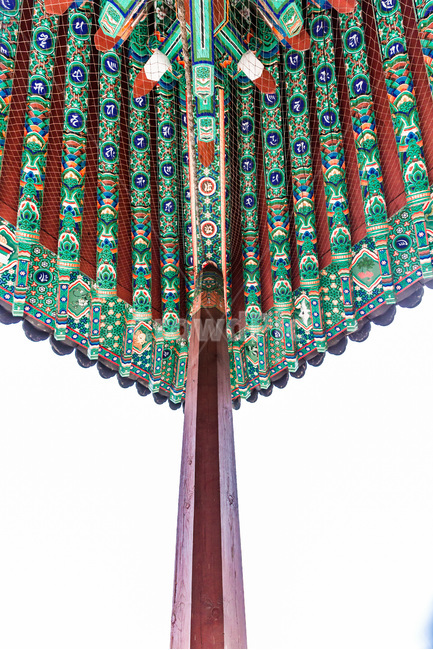 처마,문양,무늬,선,패턴,추녀,한국전통,한국문화,korean traditional,korean culture,건축물,건물외관,exterior,building,structure,architecture,construction