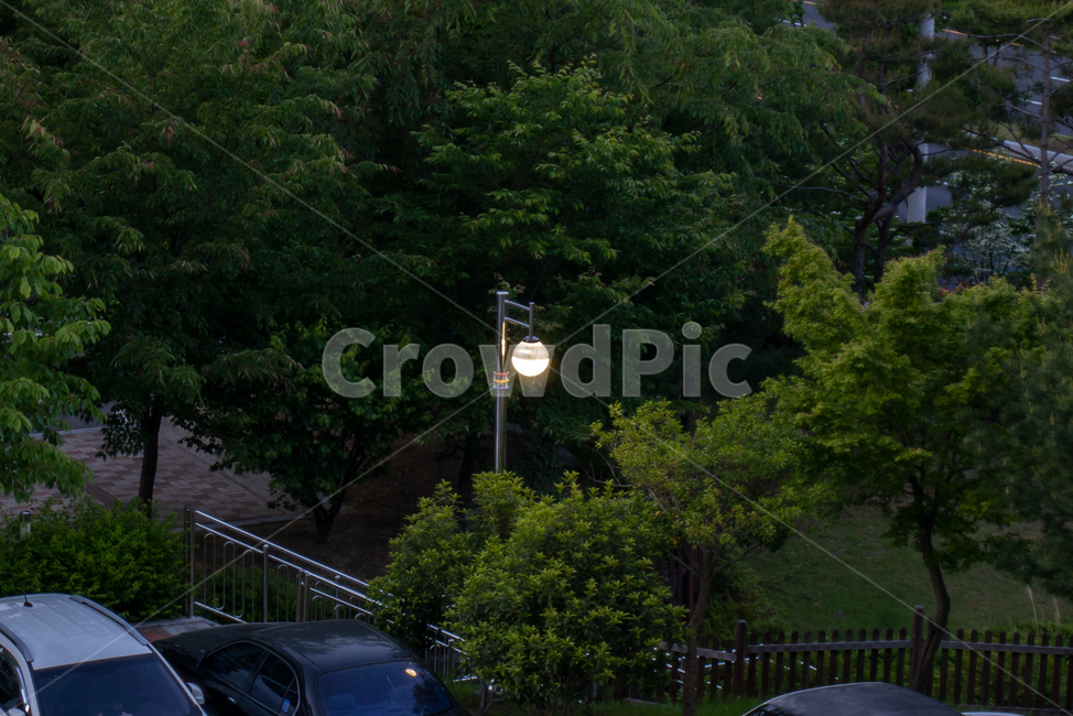 fire,sadness,loneliness,darkness,Street lamp