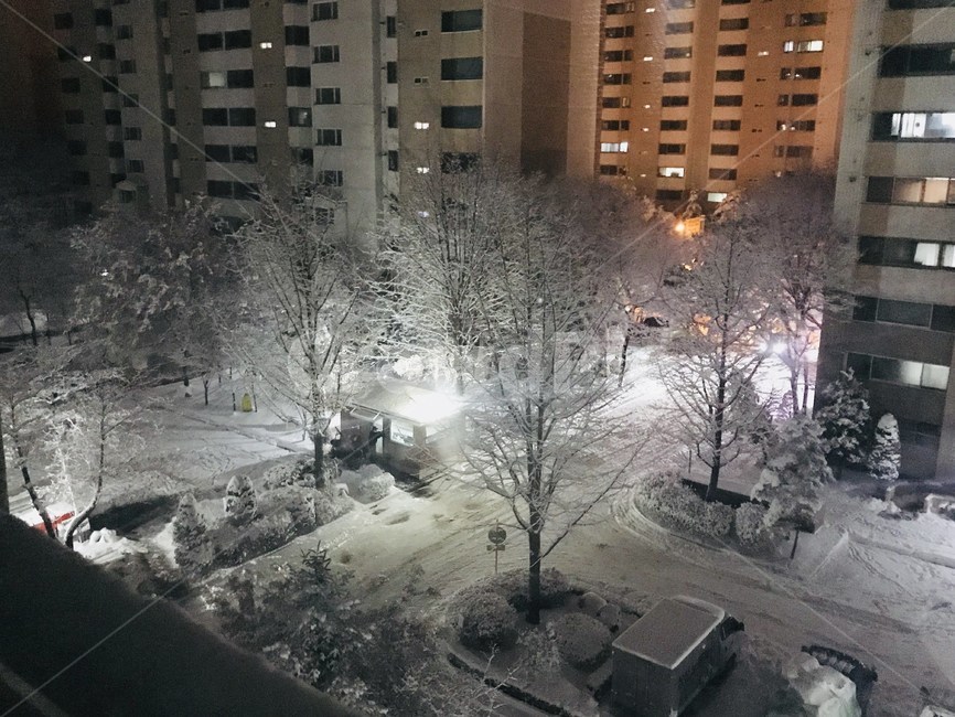 도로,아파트,나무,눈,겨울,야경,겨울,계절,winter,season