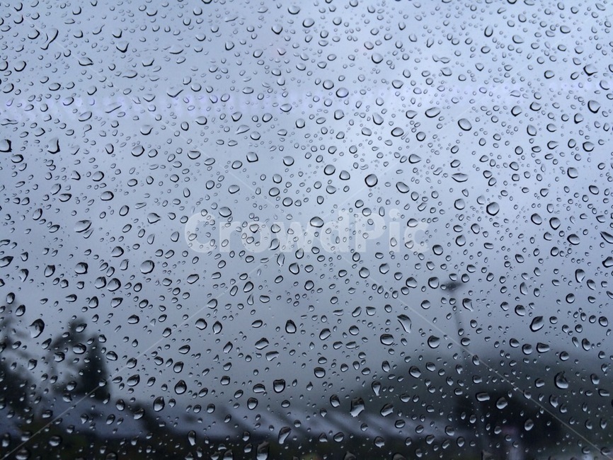 비,계절,비오는날,여름,날씨,빗방울,rain,weather,summer