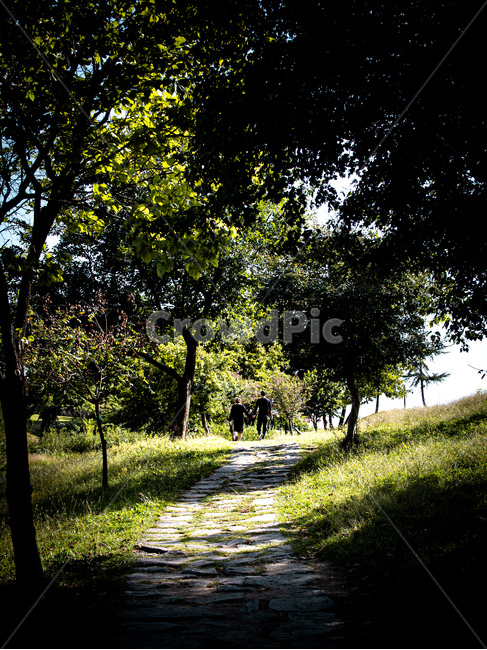 자연,공원,풍경,plant,식물,tree,human,인간,person,사람,자연,풍경,nature,landscape