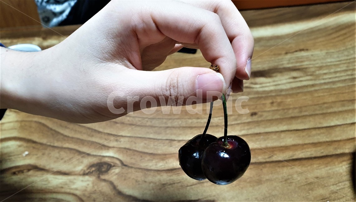 체리,과일,보라색,열매,식물,사람,인간,손가락,person,human,plant,finger,food,fruit