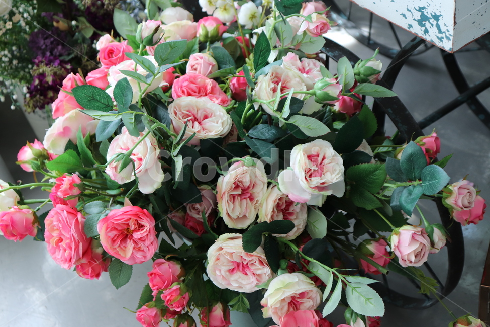 식물,plant,blossom,꽃,flower,조화