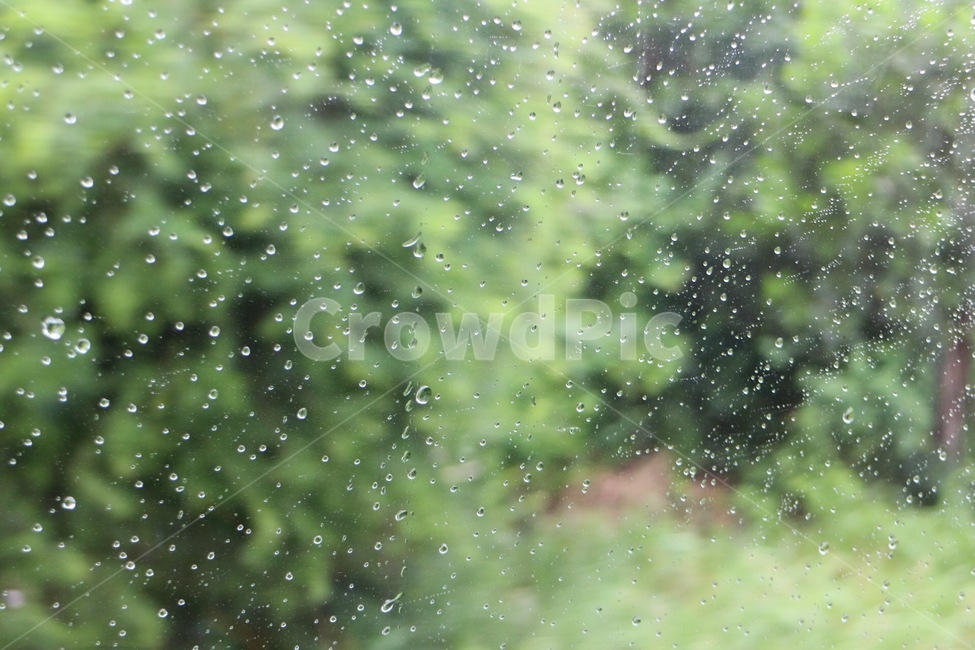 빗방울,비,밝은날비,밝은날유리,유리빗방울,유리물방울,비,비오는날,rain,rainy